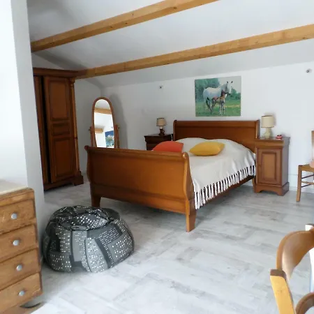 Puy Morin Holiday home *